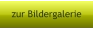 zur Bildergalerie