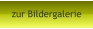 zur Bildergalerie